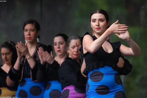 Highlights from the classical dance showcase